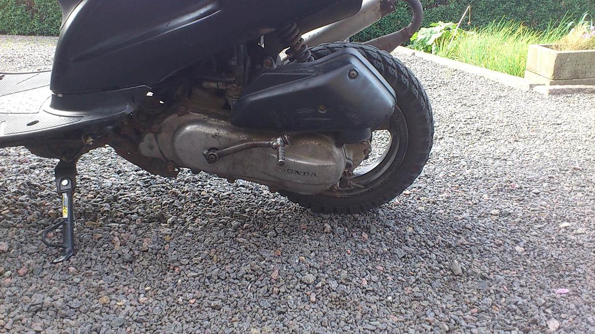 Honda SFX  billede 6