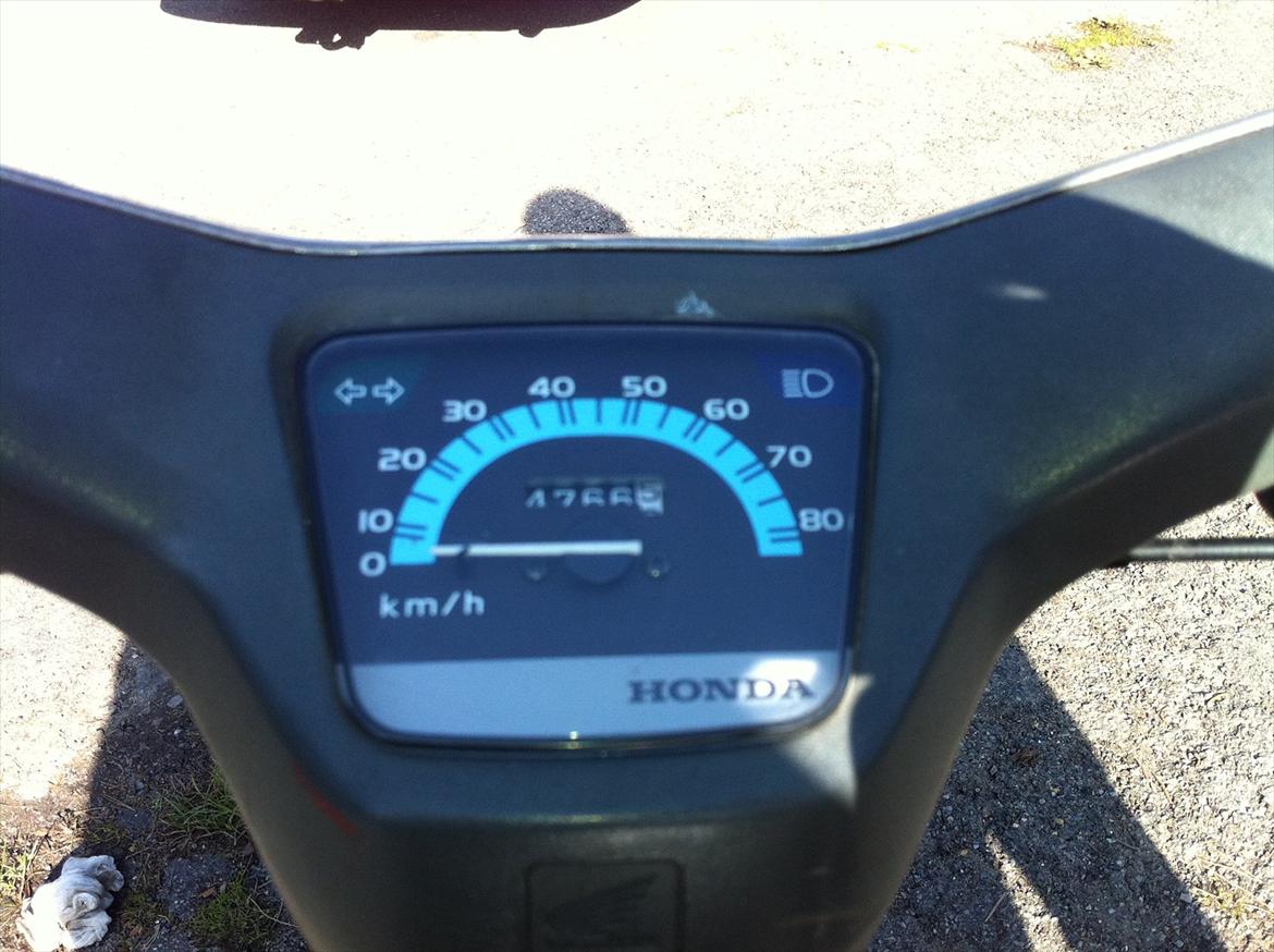 Honda Wallaroo billede 2