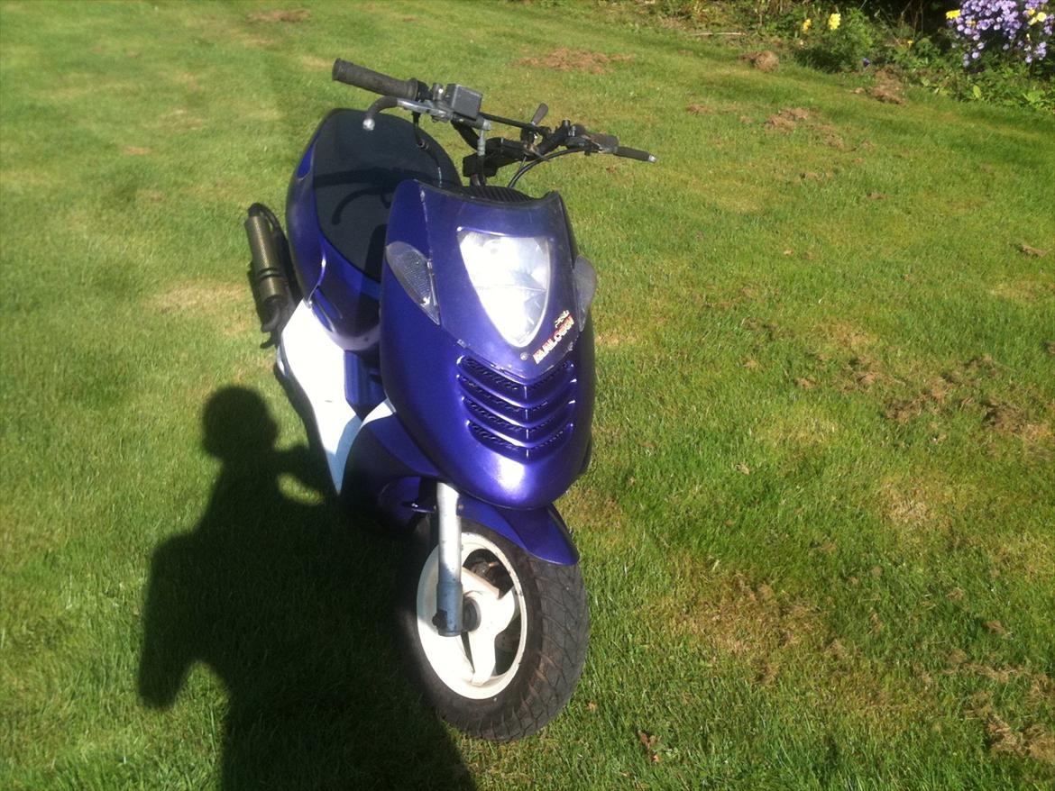 Aprilia Aprilia Efter lille reno billede 2
