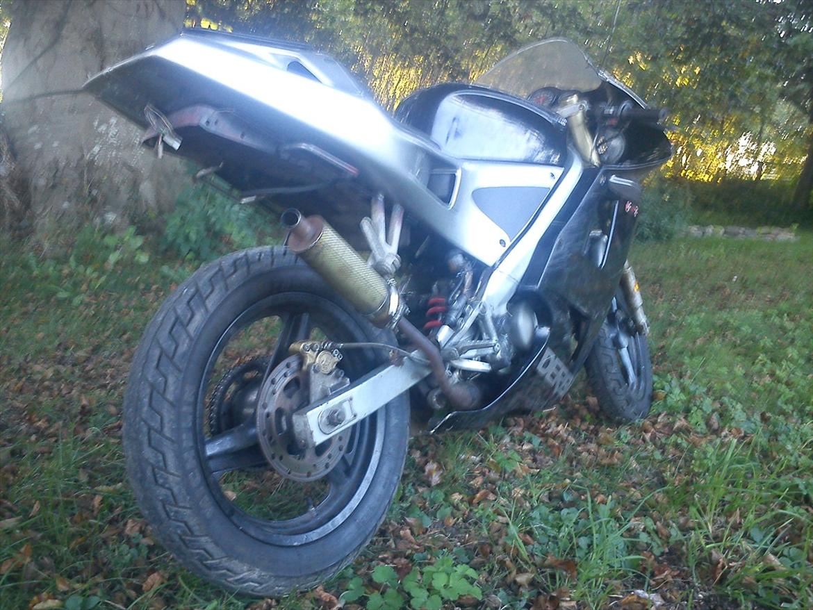 Derbi gpr billede 4