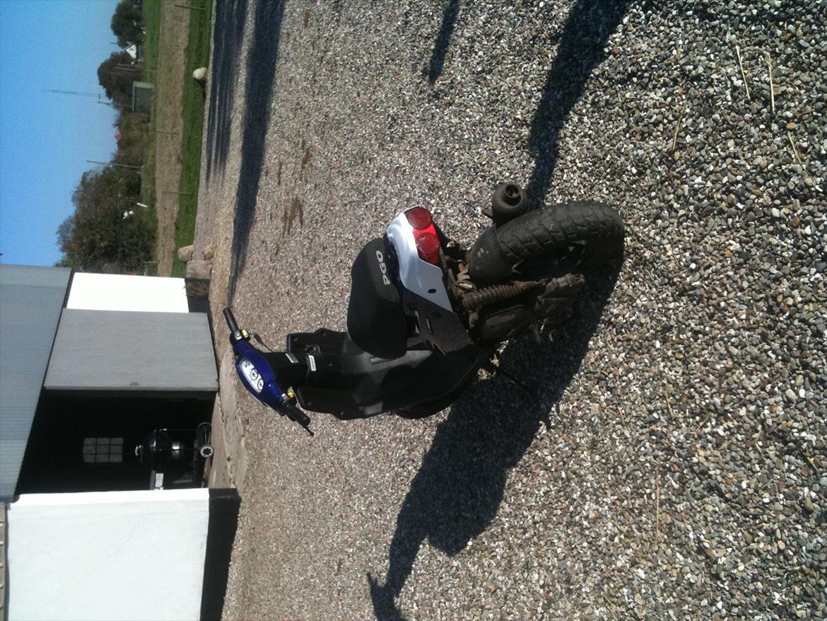 PGO Hot 50 (SOLGT) billede 4