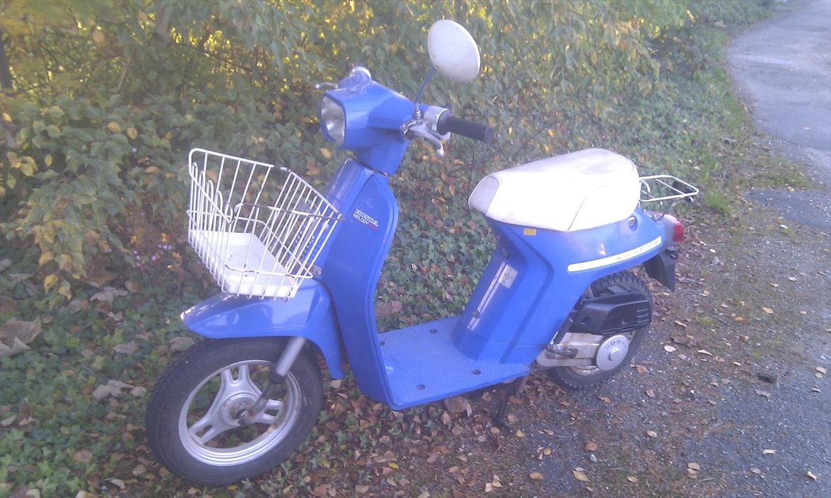 Honda melody mini NT50 billede 1