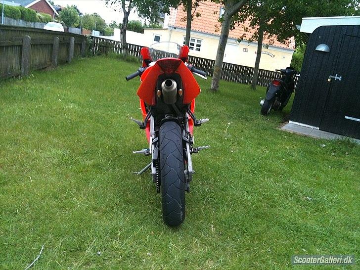 Derbi GPR 50 Racing -- tilsalg! billede 6