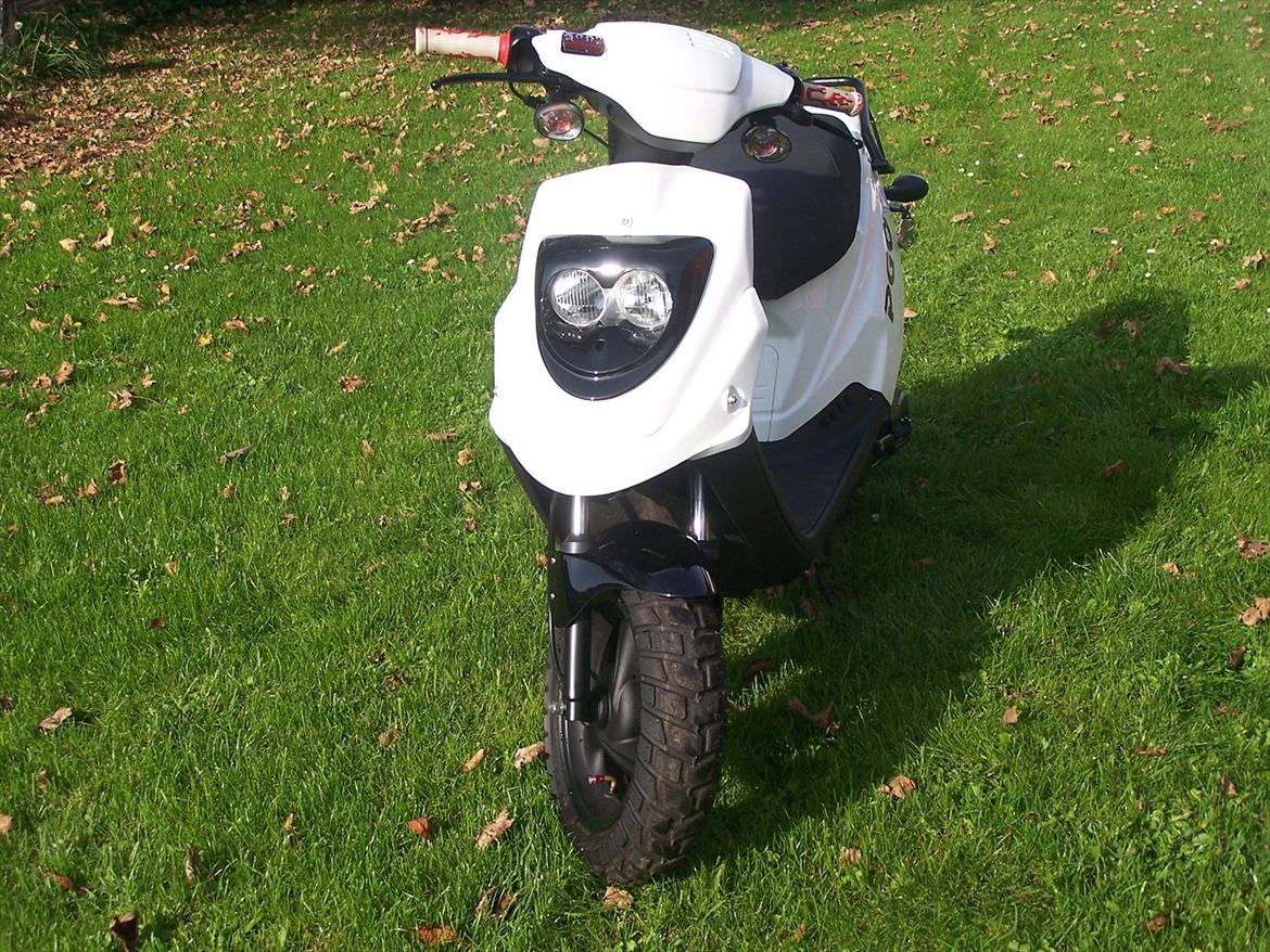 PGO hot 50 billede 11