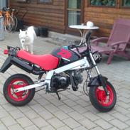 Honda ZB50p