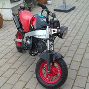 Honda ZB50p