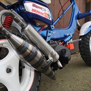 Suzuki FZ 50 / Minarelli AC