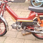 Puch maxi p1