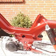 Puch maxi p1
