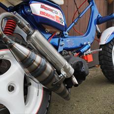 Suzuki FZ 50 / Minarelli AC