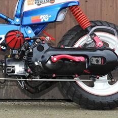 Suzuki FZ 50 / Minarelli AC