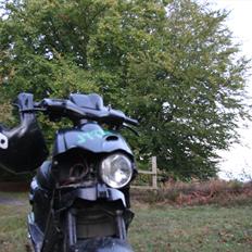 Peugeot knepscooter aka. jytte (tkr)