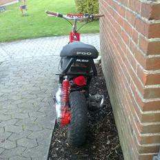 Aprilia Aprilia rally/hot 50/baneracer