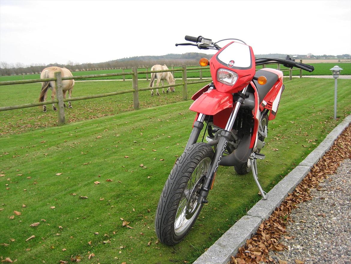 Gilera SMT billede 5