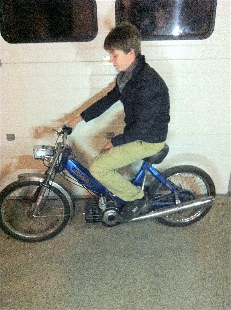 Puch Maxi k billede 12