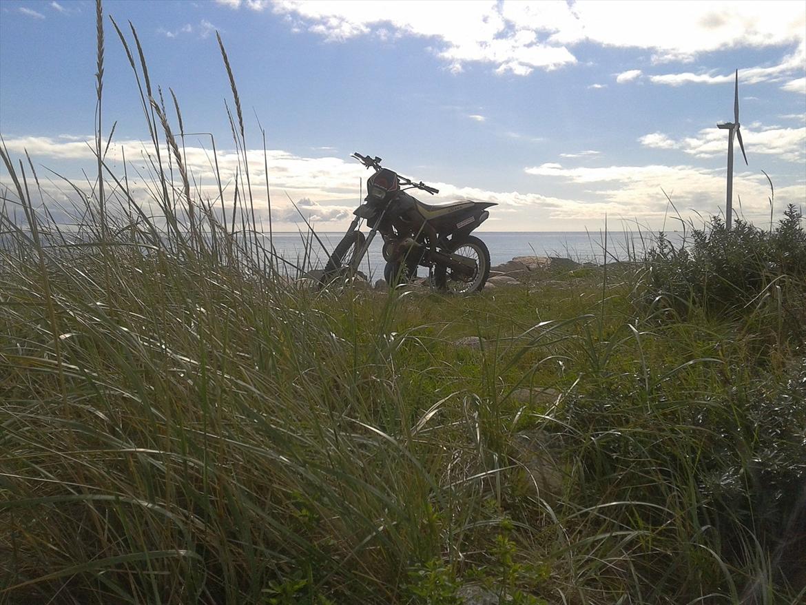 Gilera rcr LC billede 4