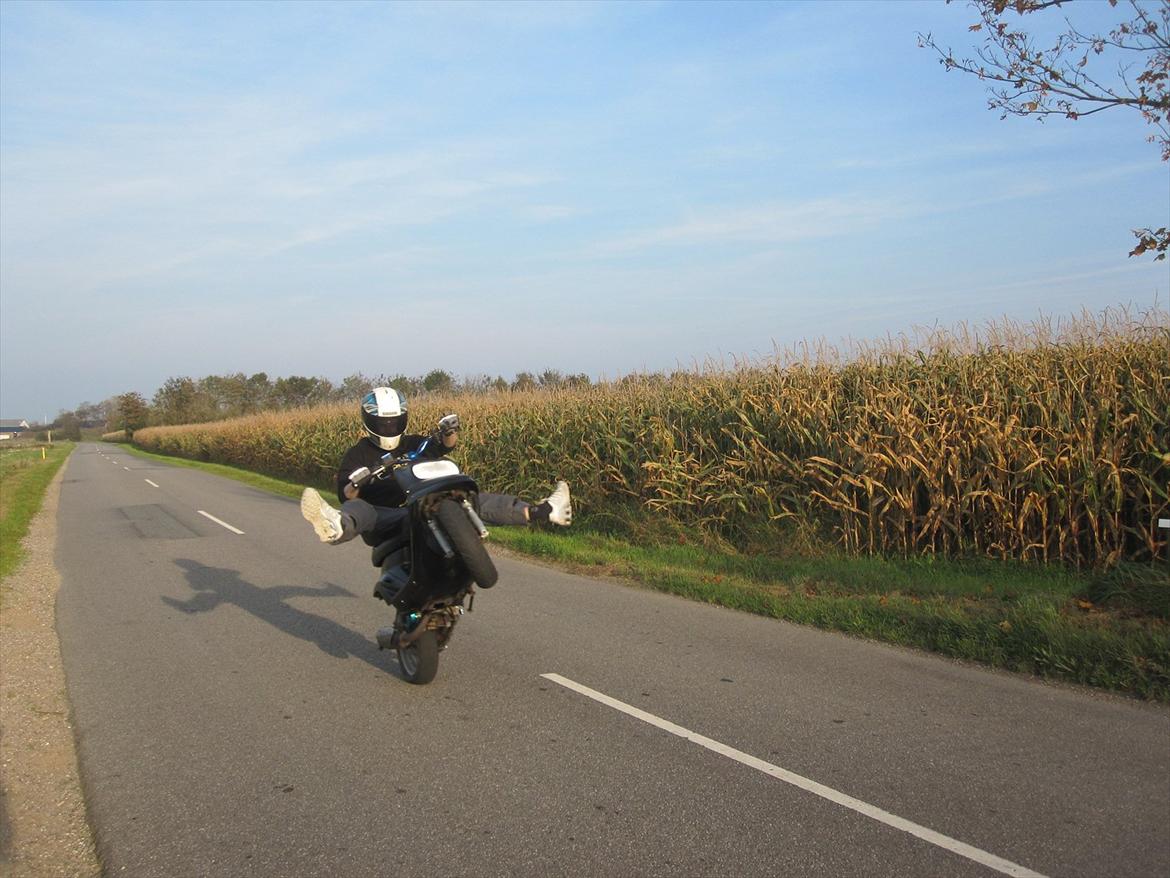 Yamaha PMW billede 1