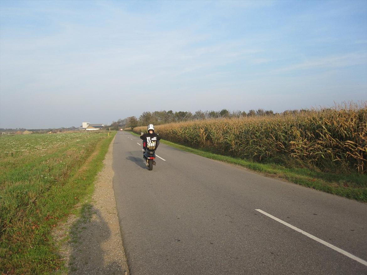 Yamaha PMW billede 11