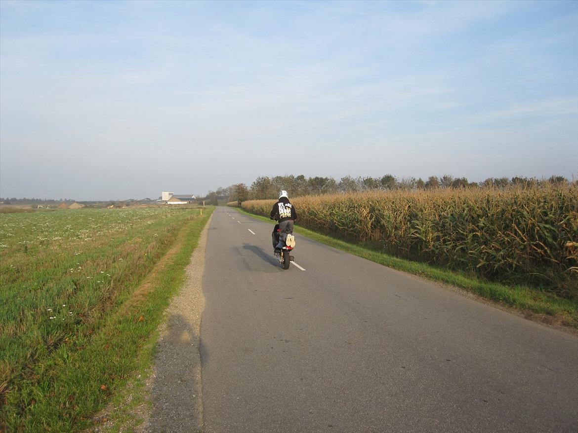 Yamaha PMW billede 12