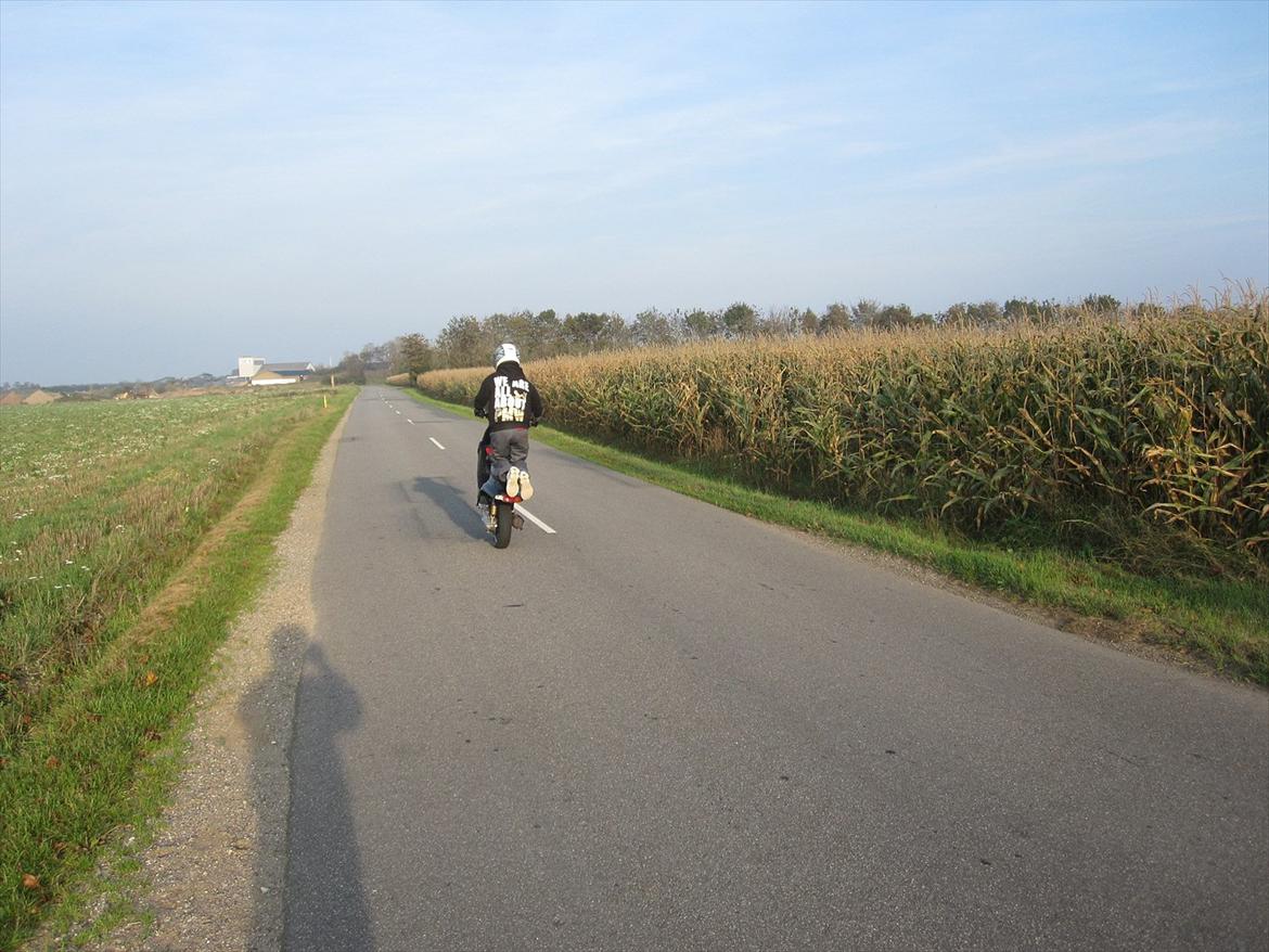 Yamaha PMW billede 14