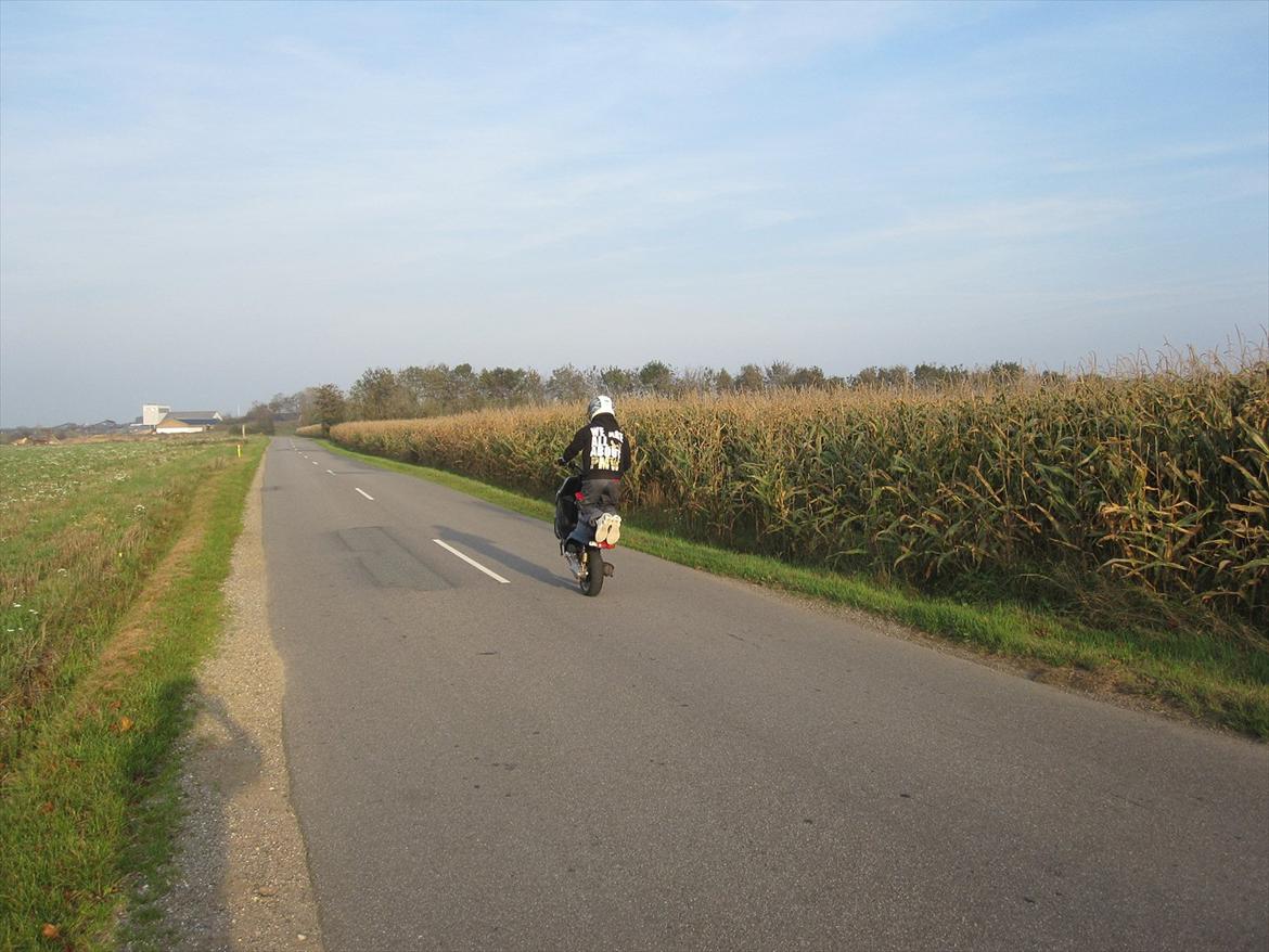 Yamaha PMW billede 15