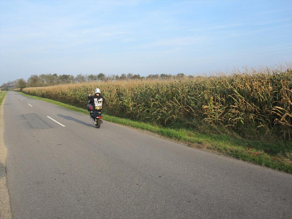 Yamaha PMW billede 16