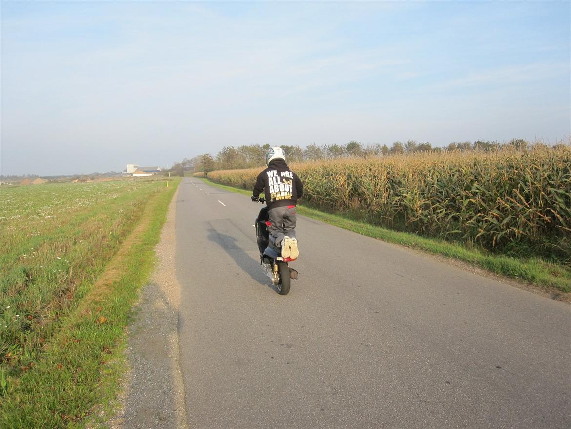 Yamaha PMW billede 18