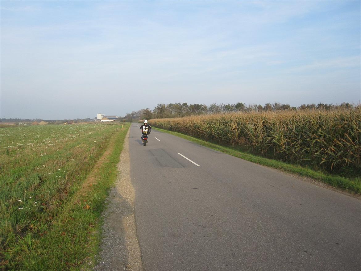 Yamaha PMW billede 20