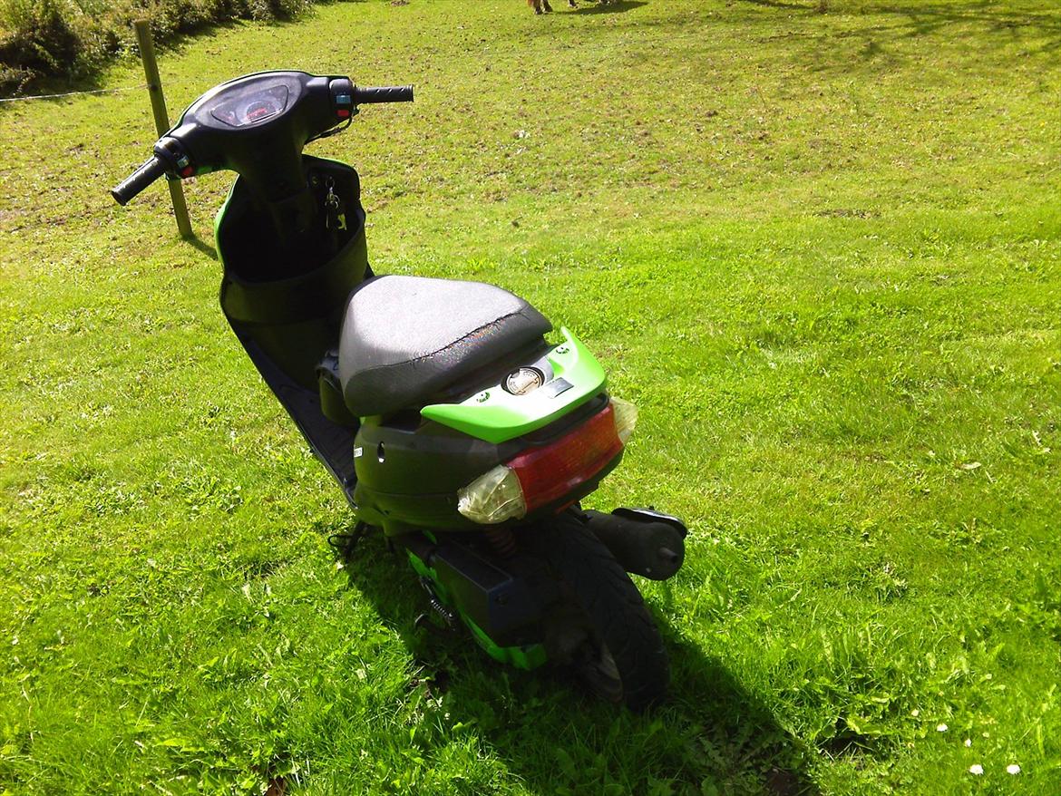 Texas Free 50-4 (solgt) billede 6