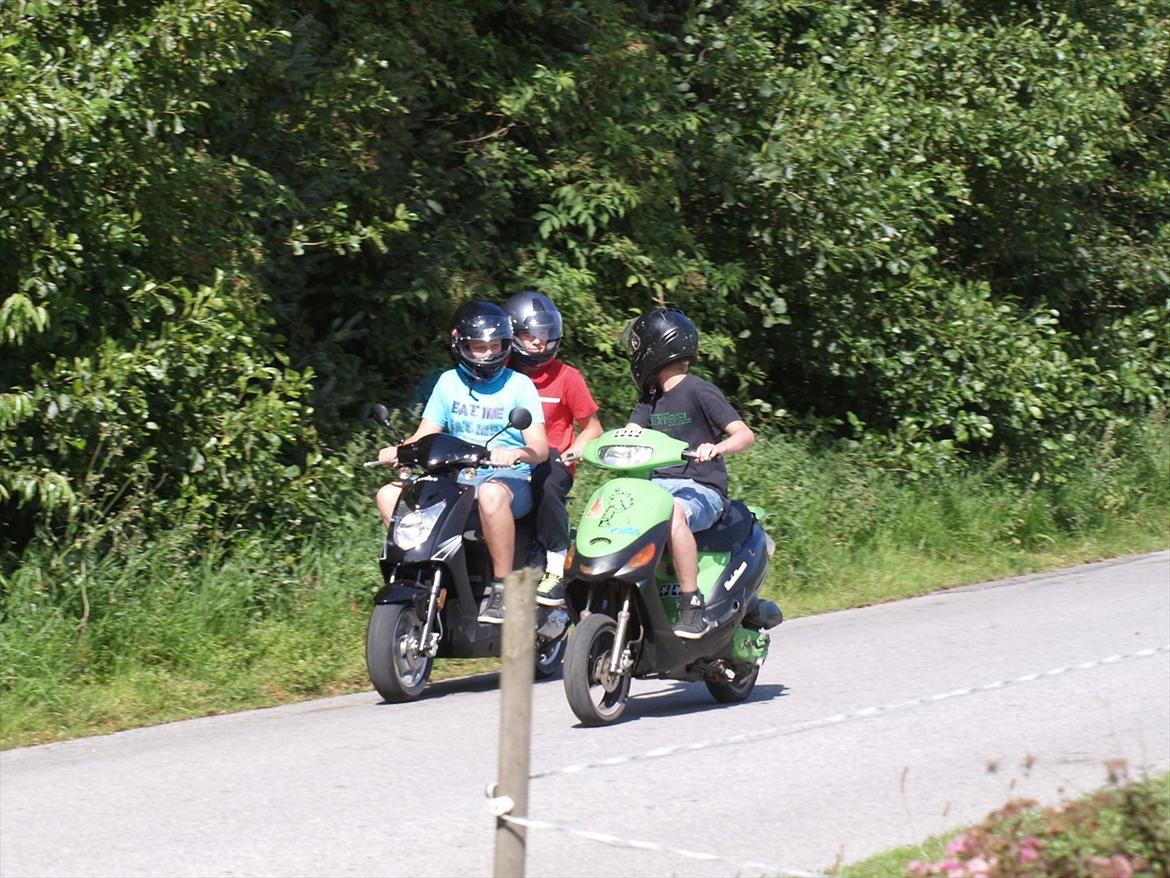 Texas Free 50-4 (solgt) billede 7