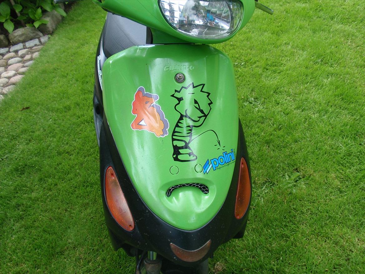 Texas Free 50-4 (solgt) billede 8