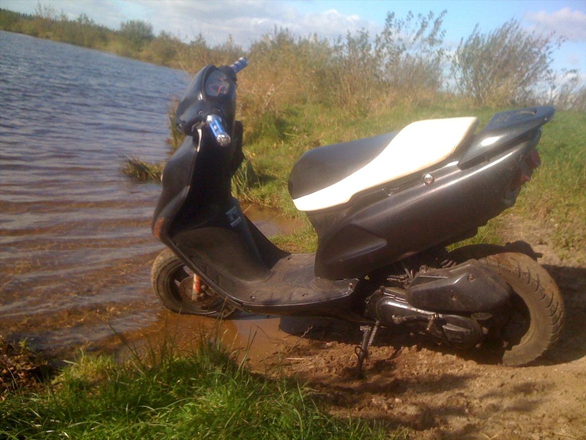 Honda SFX billede 2