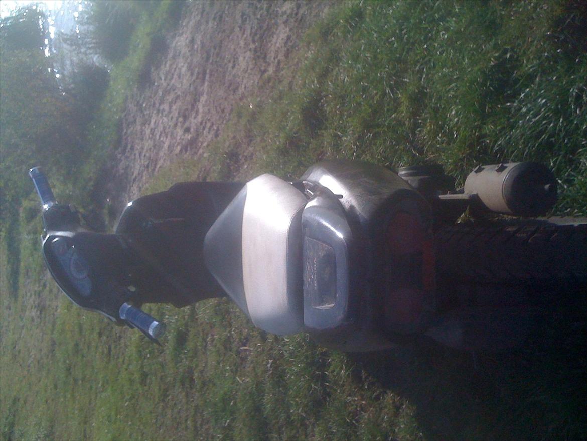 Honda SFX billede 4