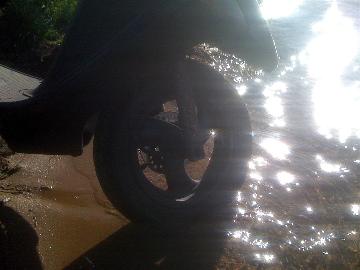 Honda SFX billede 5
