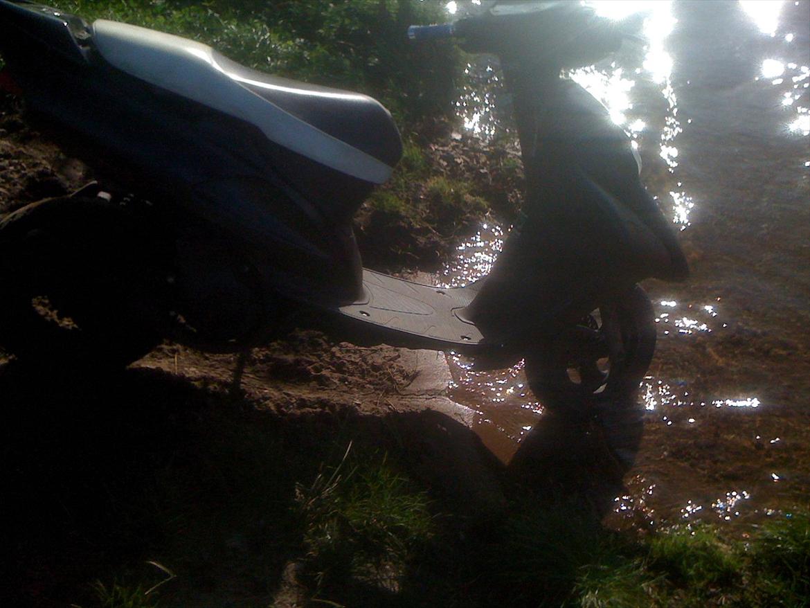 Honda SFX billede 9