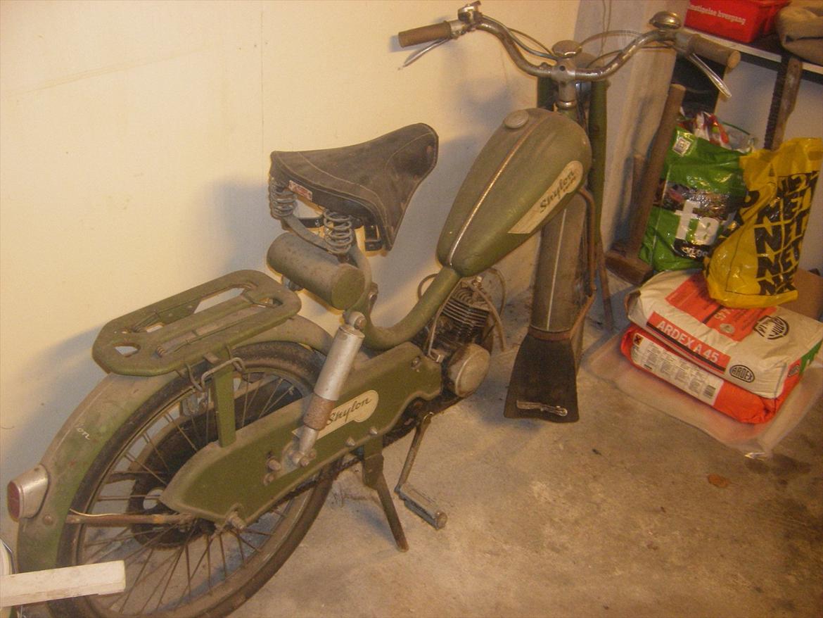 Veteraner Skylon Swing billede 3