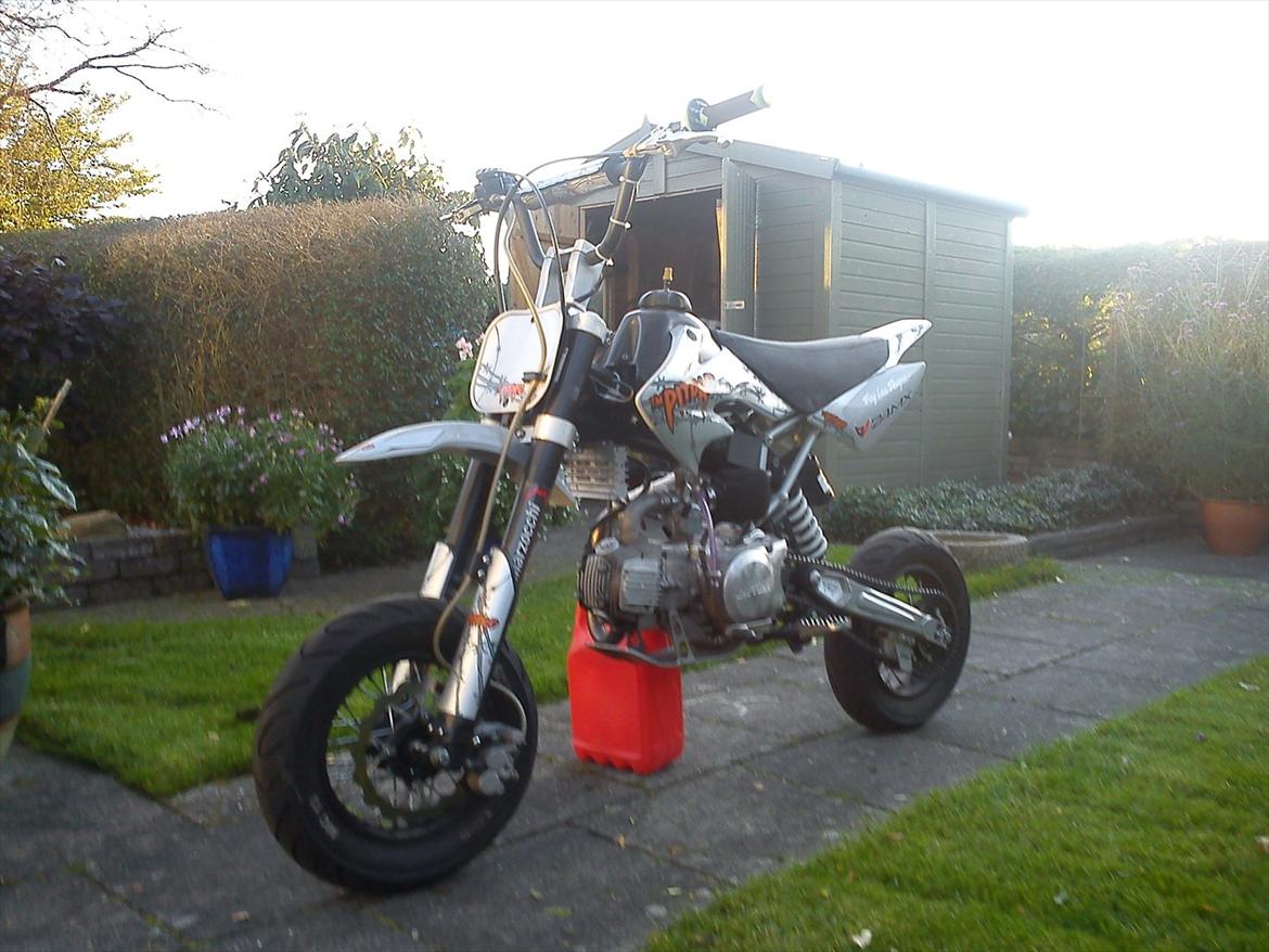 Pitpro 125cc Daytona billede 12