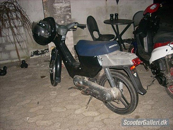 Honda wallaroo billede 1