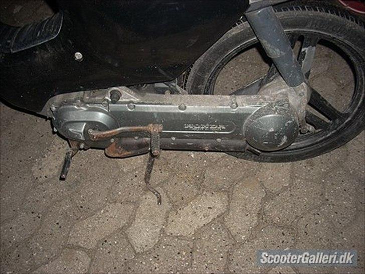 Honda wallaroo billede 4