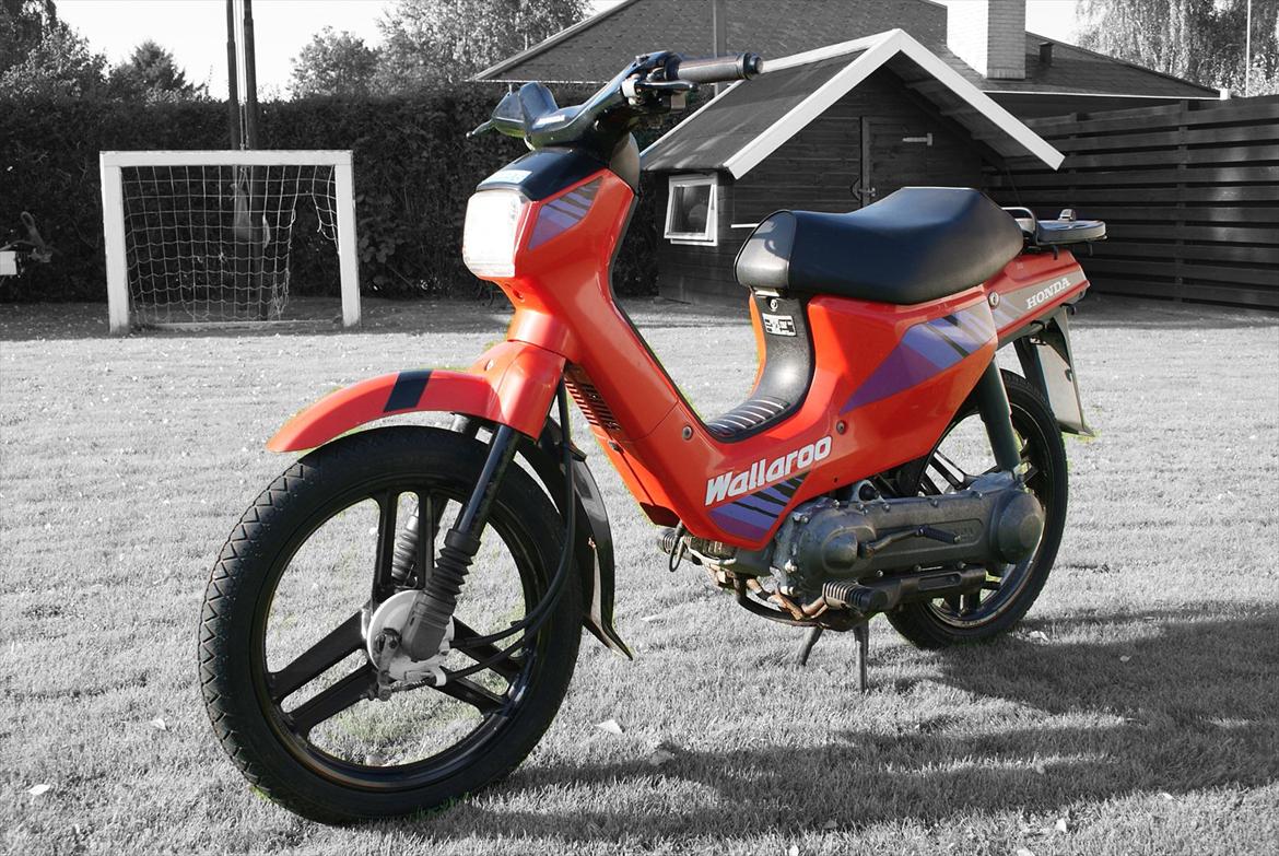 Honda Wallaroo billede 1