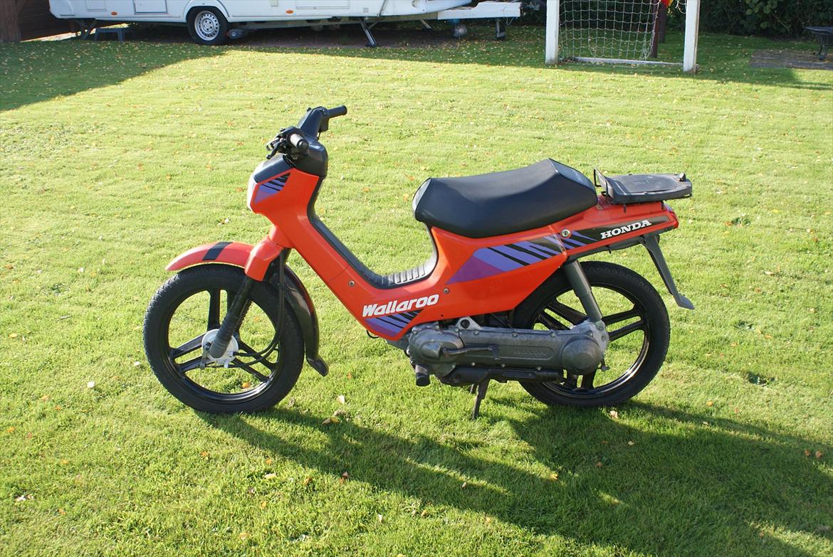 Honda Wallaroo billede 2