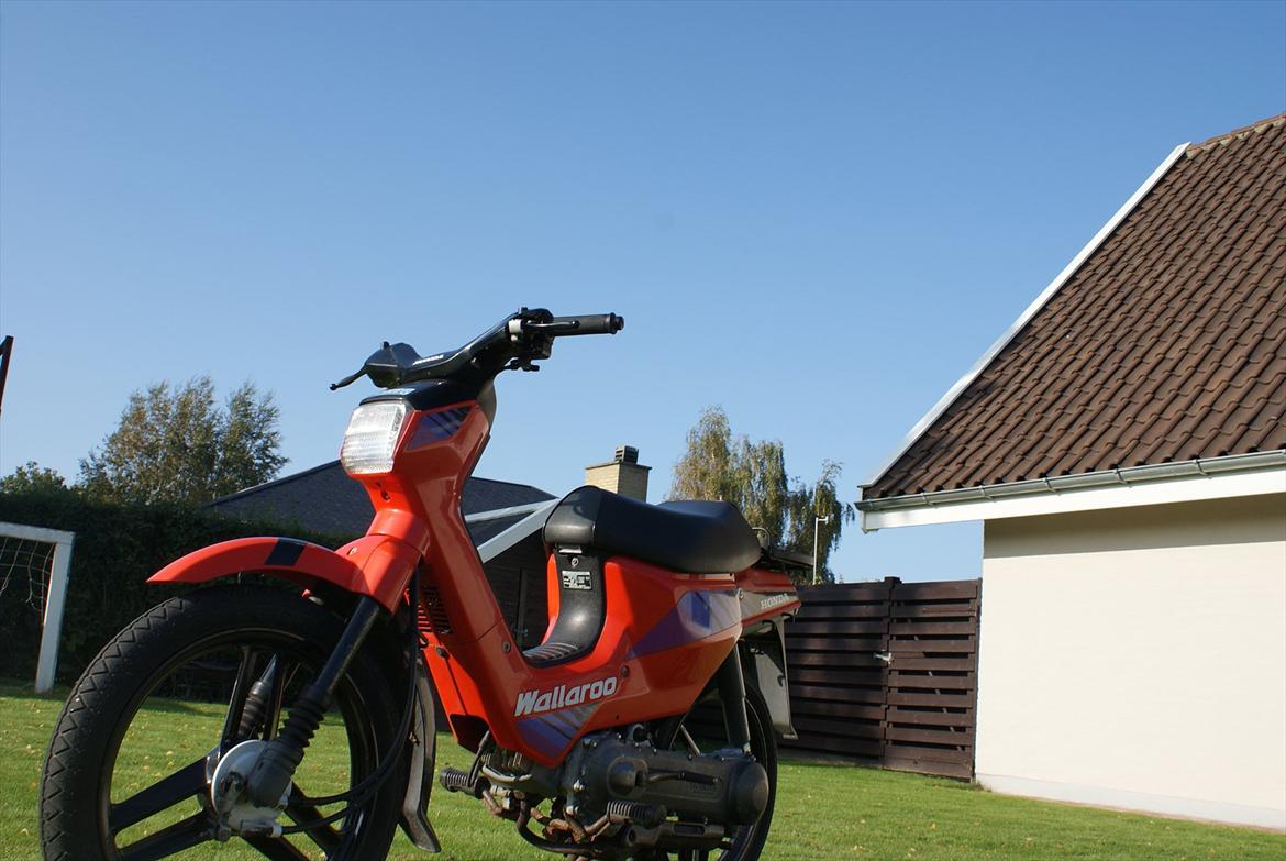 Honda Wallaroo billede 3