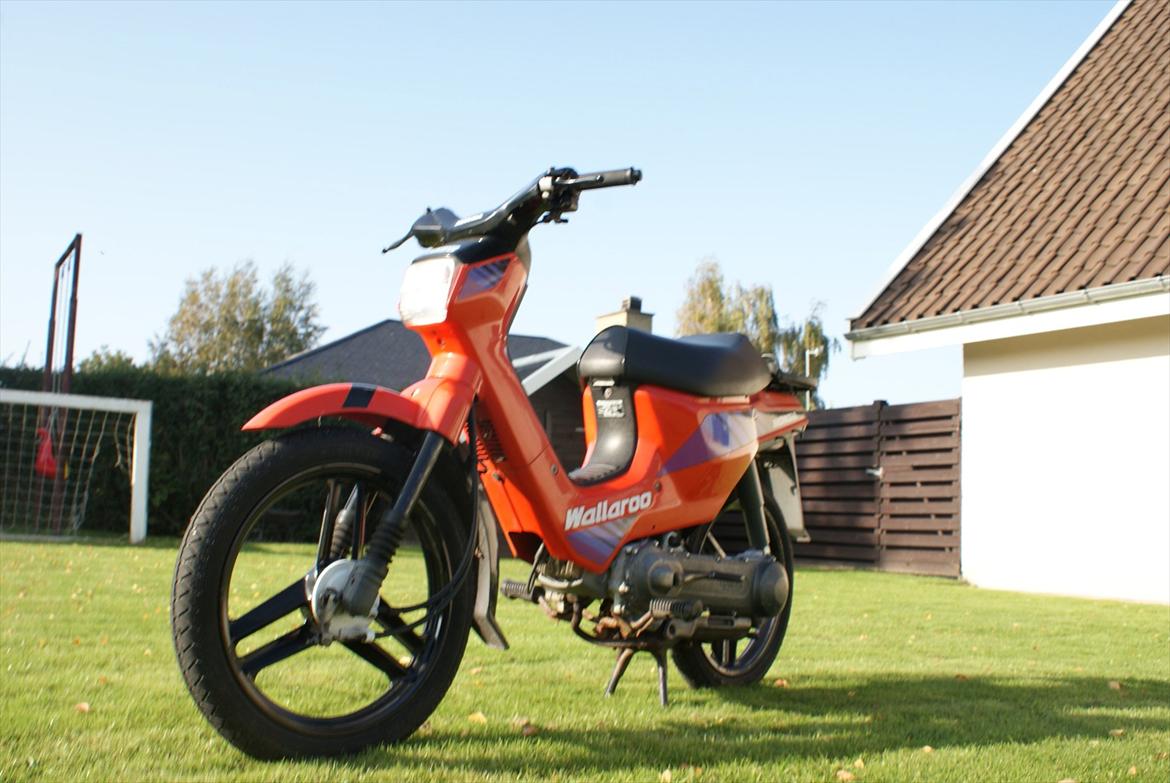 Honda Wallaroo billede 4