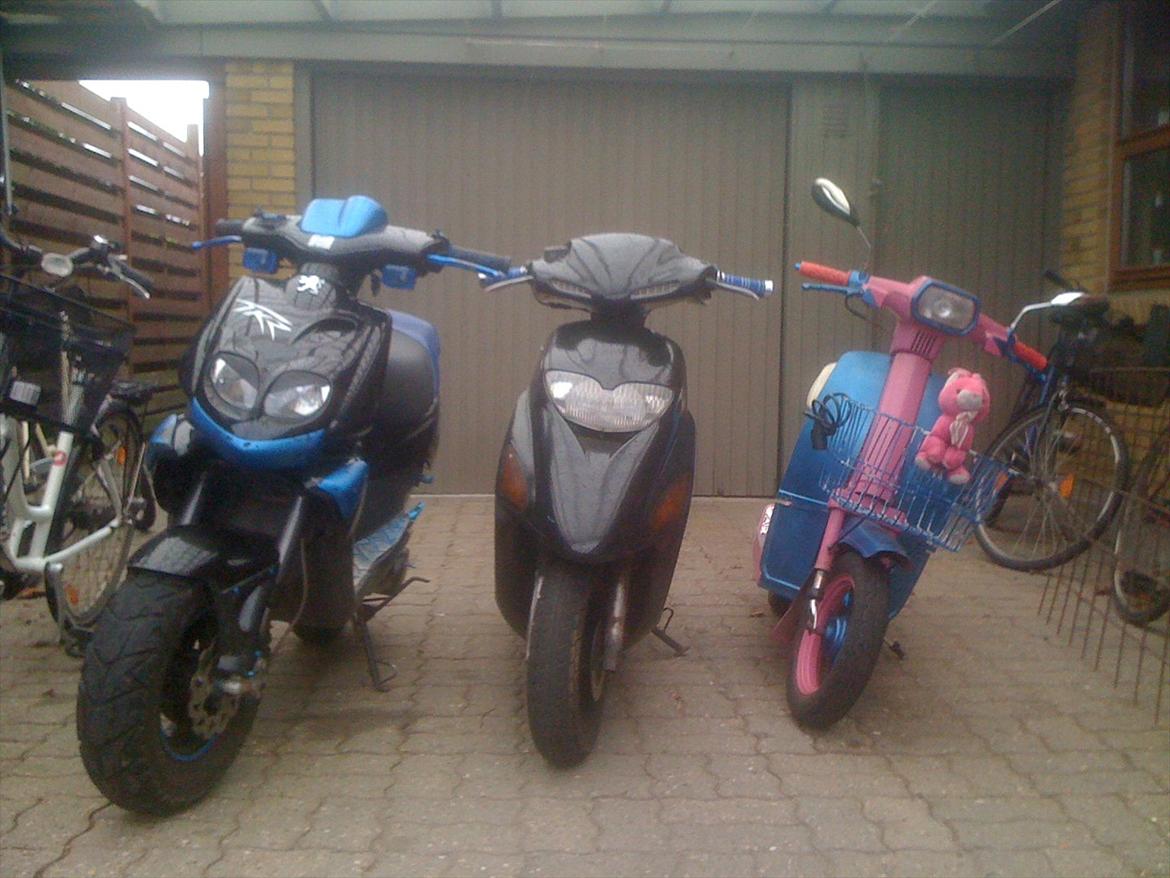 Honda SFX billede 11