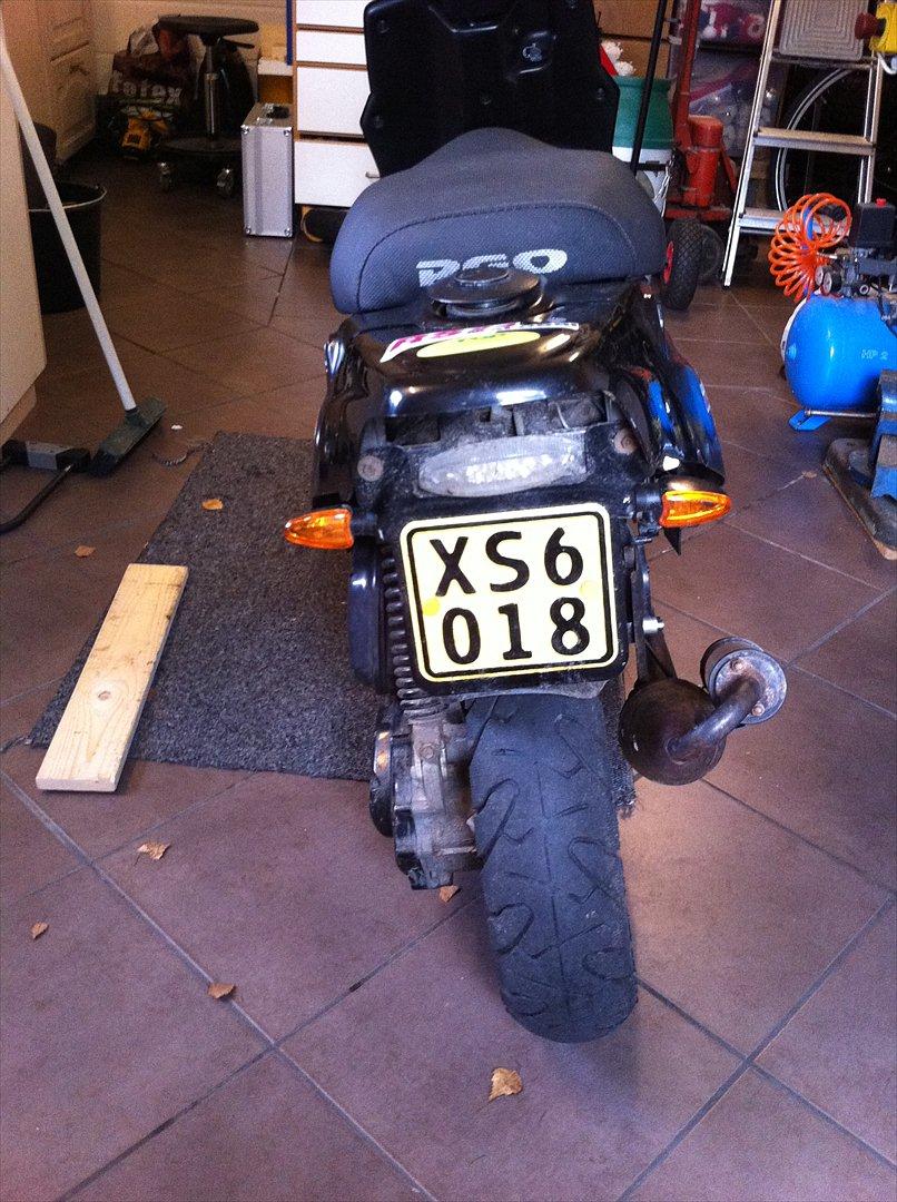 PGO hot 50 - efter billede 5