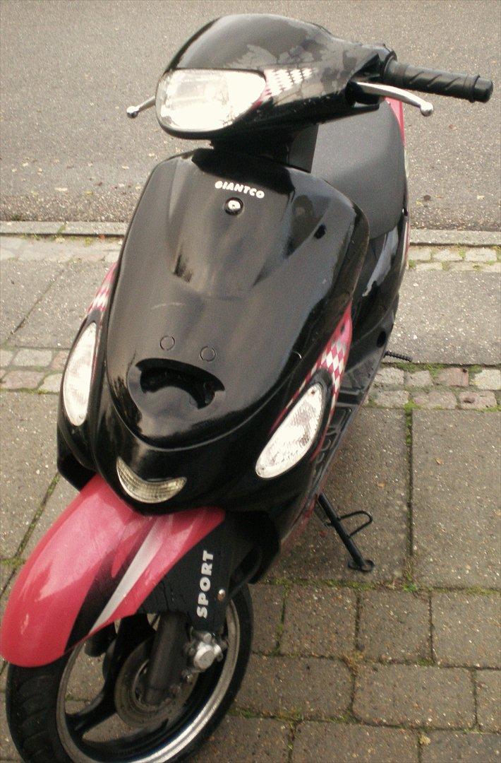 Giantco Sprint Sport [Solgt] billede 1