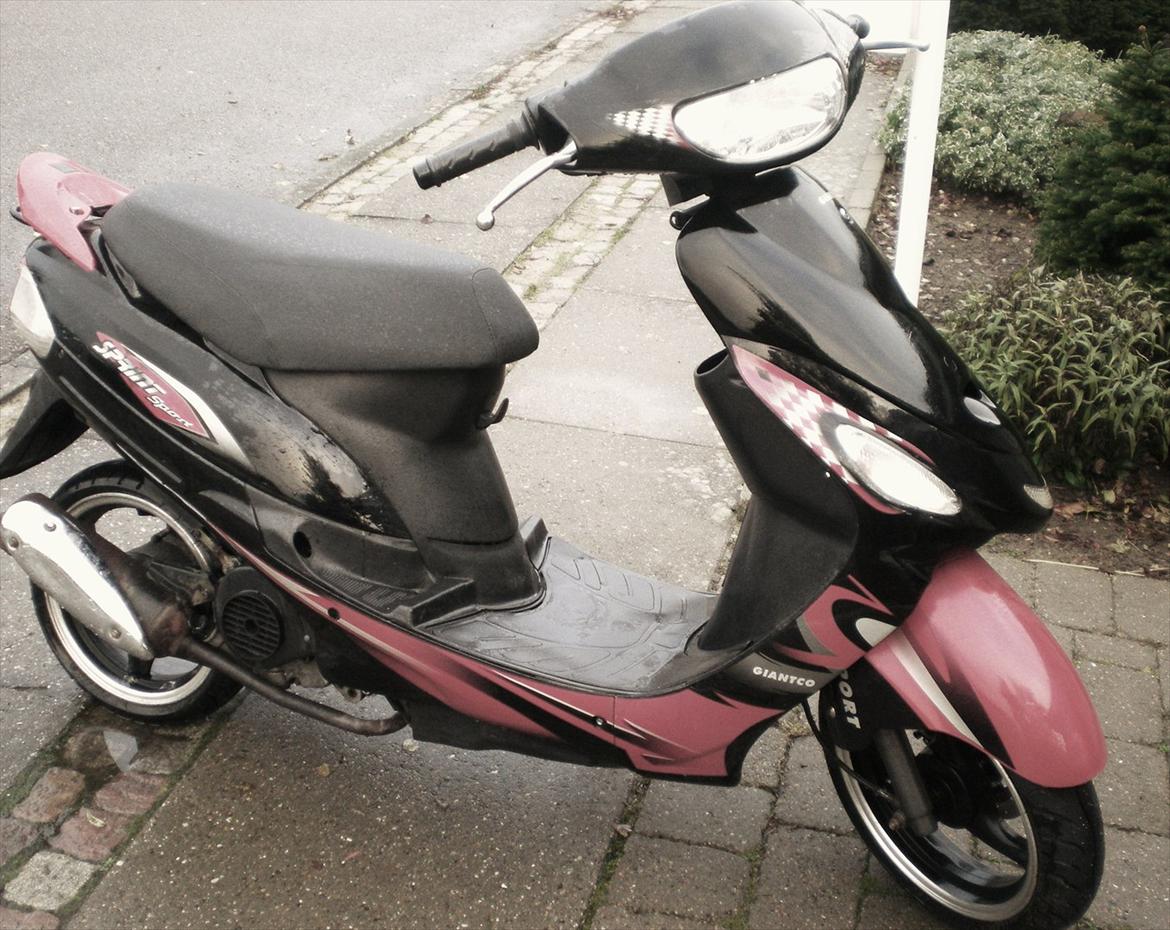 Giantco Sprint Sport [Solgt] billede 3