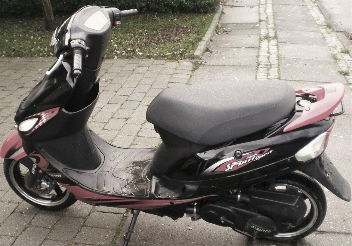 Giantco Sprint Sport [Solgt] billede 6