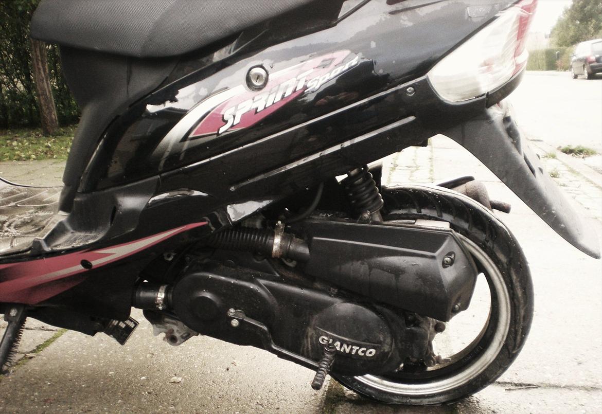 Giantco Sprint Sport [Solgt] billede 8