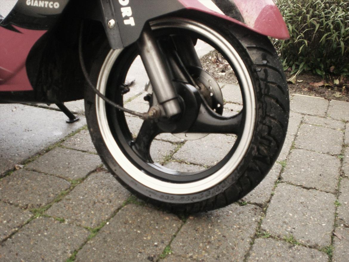 Giantco Sprint Sport [Solgt] billede 9